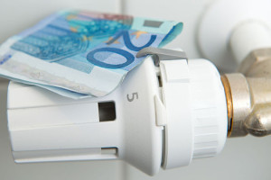 Artikel 32 vragen: Over kosten energie Nieuwveenseland en Meppel Energie .